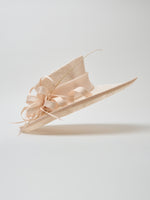 Wide Brimmed Hat