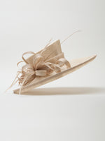 Wide Brimmed Hat