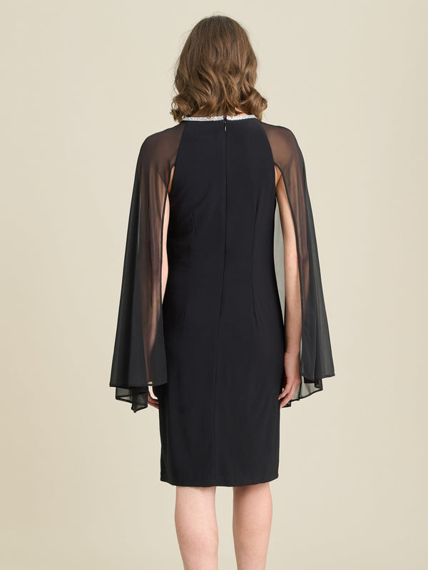 Shyla Sheer Sleeve & Crystal Trim Dress