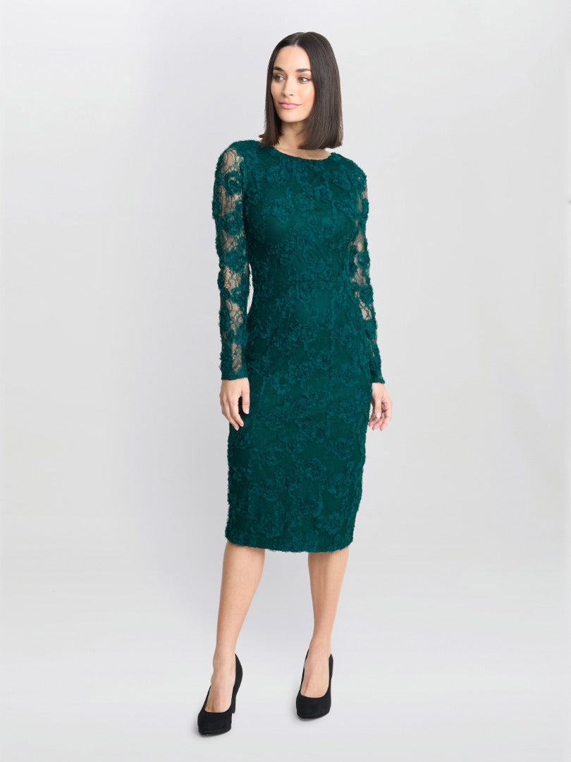 Scarlett Corded Floral Lace Dress Gina Bacconi Scarlett Corded Floral Lace Dress Gina Bacconi