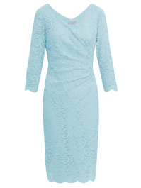 Clarinell Stretch Lace Dress