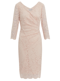 Clarinell Stretch Lace Dress
