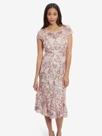 Evelynn Sequin Embroidered Tulle Dress